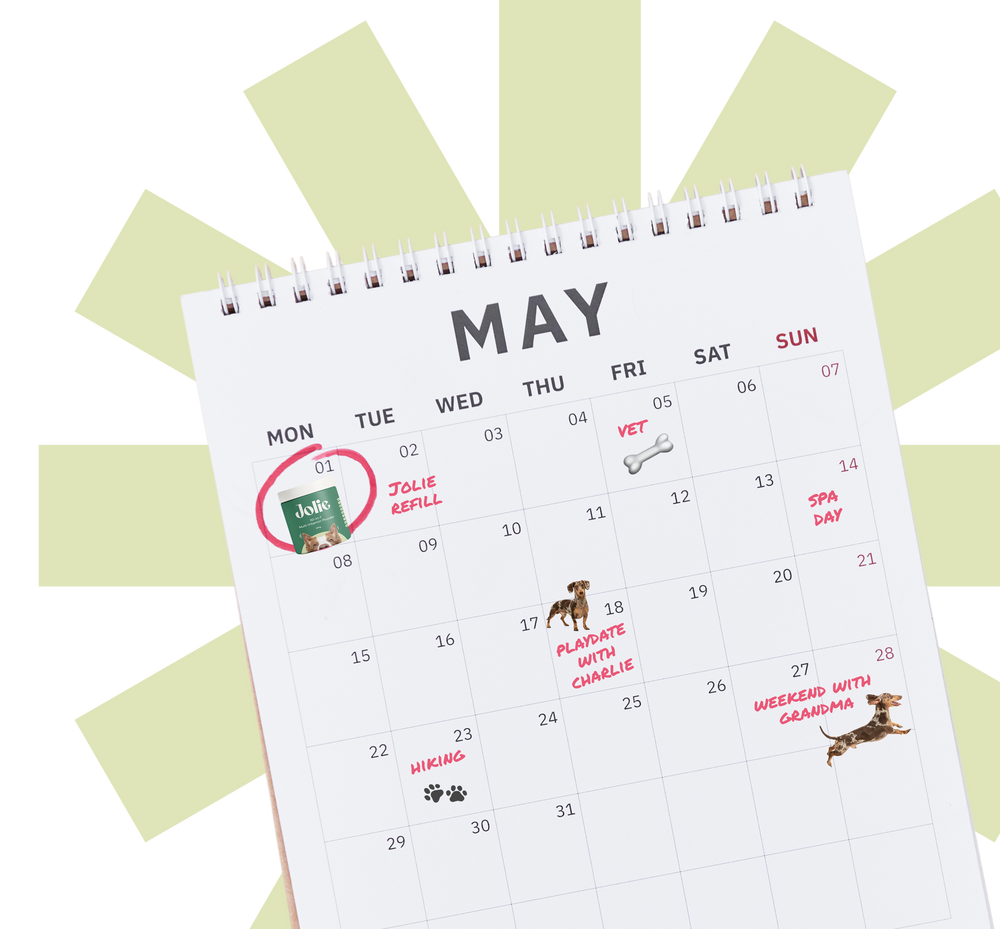 Calendar with May on a white background